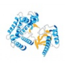 PEPTONA REAG FATOR CRESCIMENTO HEPATOCITO RECOMBINANTE HUMANO TEMPERATURA TRANSPORTE ARMAZENAMENTO -20C 10UG (UND) MILLIPORE