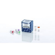 QUANTINOVA REV. TRANSCRIPTION KIT (10)     QIAGEN