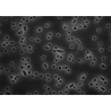 MEMBRANA FILTRAÇÃO POLICARBONATO ISOPORE DIAM. 47mm PORO 10um HIDROFILICA BRANCA LISA (CX) MILLIPORE