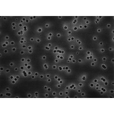 MEMBRANA FILTRAÇÃO POLICARBONATO ISOPORE DIAM. 47mm PORO 3um MILLIPORE (CX C/ 100 UND)