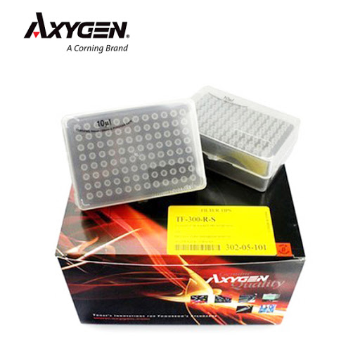 AXYTF-300-R-S.jpg